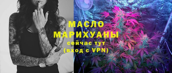 дмт Снежногорск